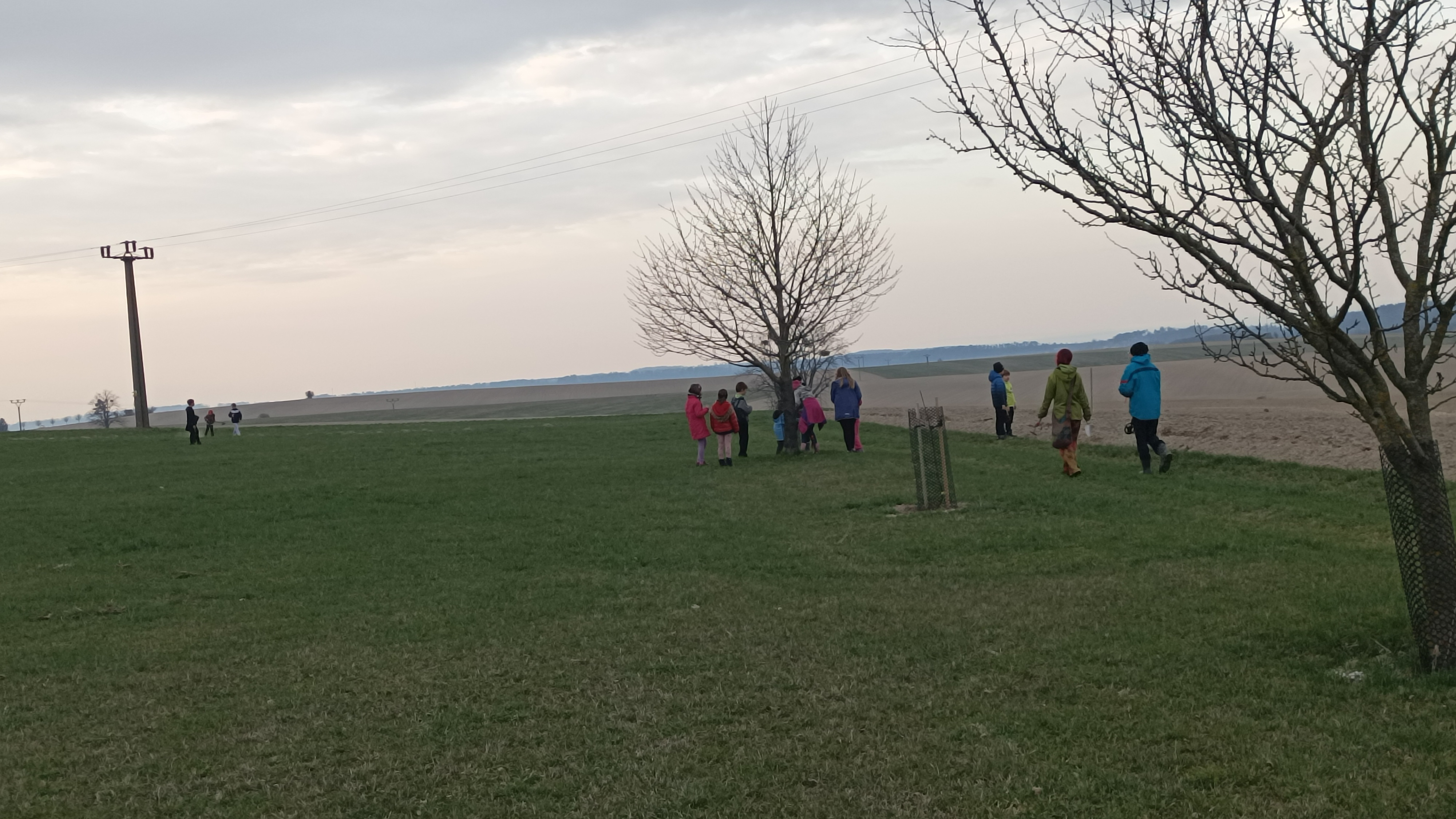 IMG_20250328_173024