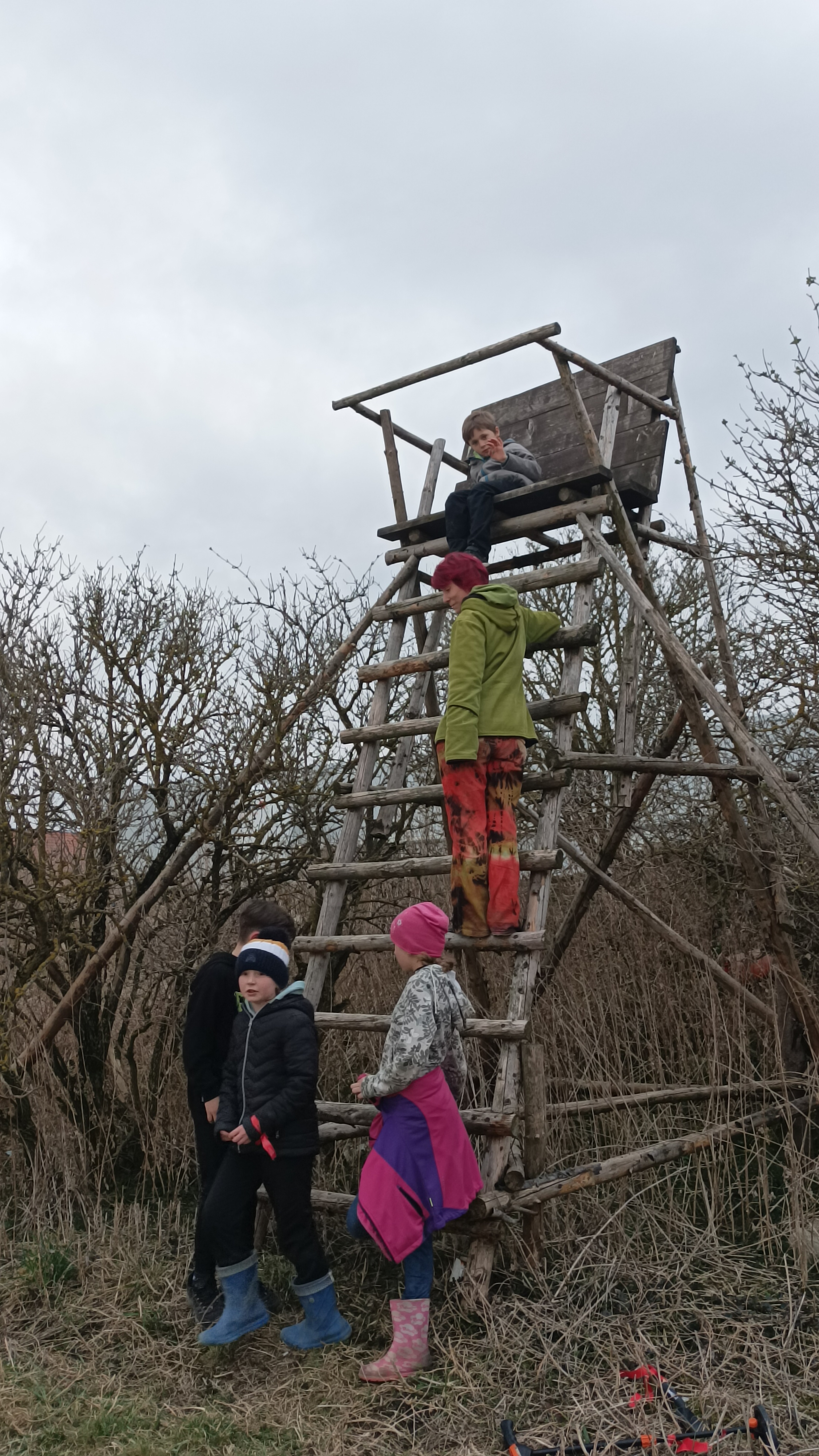 IMG_20250328_174243